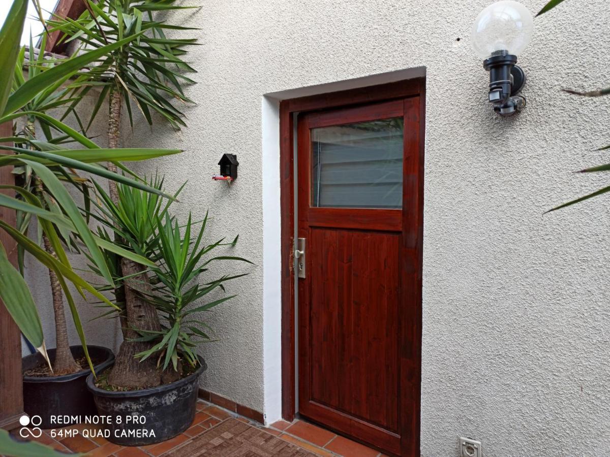 פגניץ Guenther'S Ferienwohnung מראה חיצוני תמונה